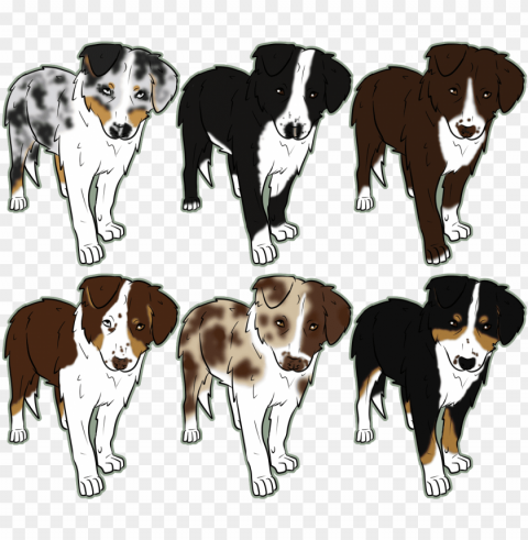 australian shepherd drawing easy PNG graphics with alpha channel pack PNG transparent with Clear Background ID d4224dd2