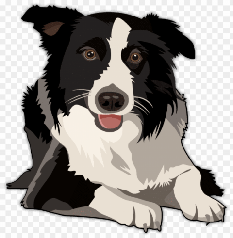 australian shepherd vector - border collie vector Isolated Artwork on Transparent Background PNG transparent with Clear Background ID d9b18e86