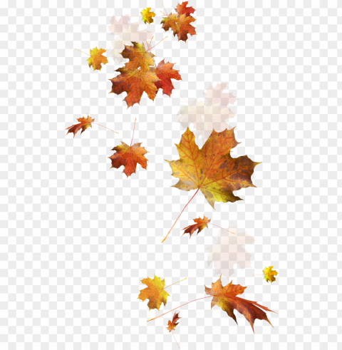 autumn color leaves leaf falling download hd clipart - transparent autumn leaves Clear PNG graphics