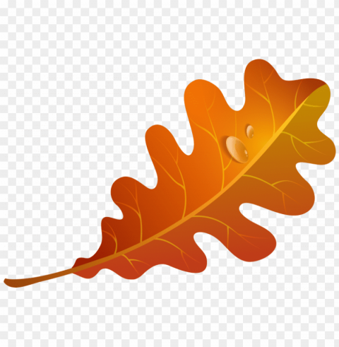 autumn leaf clipart PNG images with clear cutout