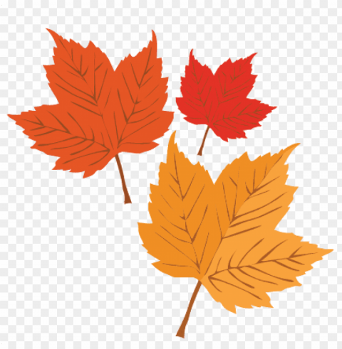 autumn leaves svg scrapbook cut file cute clipart files - maple leaf PNG graphics for presentations