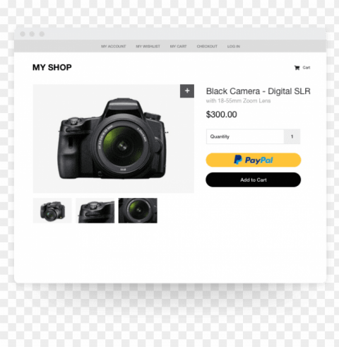 aypal passes customer contact and shipping details - sony alpha slt-a37k 162 mp digital slr camera - dt PNG for social media PNG transparent with Clear Background ID e73cb1ff