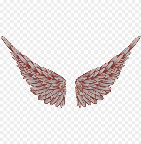 baby angel wings angel praying t - logo PNG Image with Transparent Isolated Design