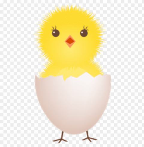 baby chicken PNG Image with Clear Background Isolated PNG transparent with Clear Background ID 954956c4