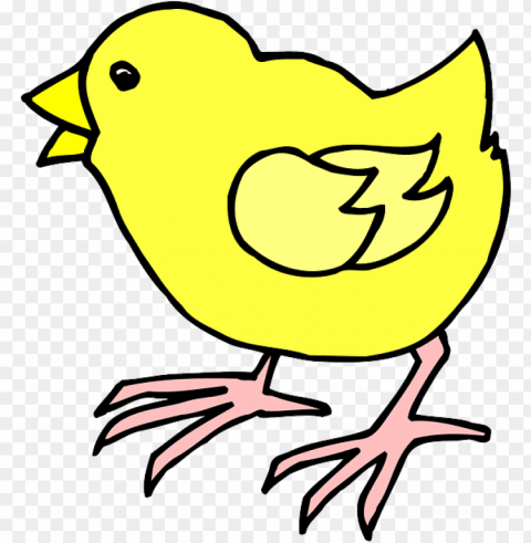 baby chicken PNG images free PNG transparent with Clear Background ID a8fcde9c