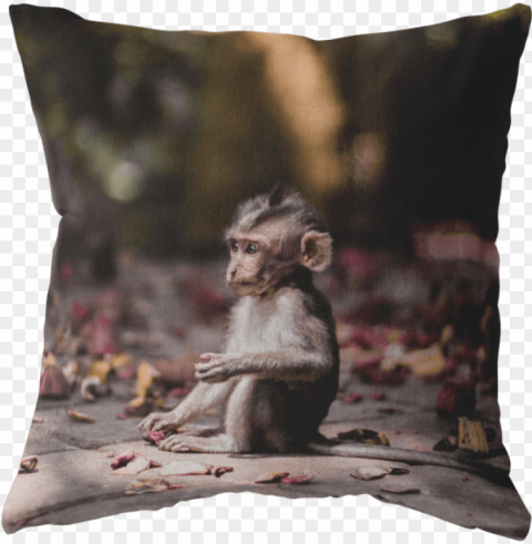 baby monkey - iphone 8 plus monkey Isolated Subject in HighQuality Transparent PNG