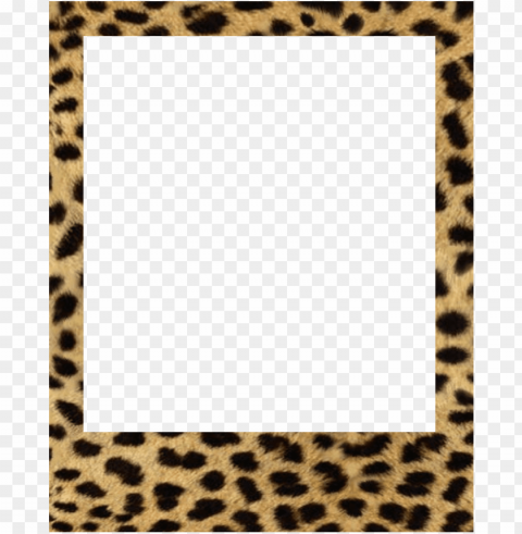 Baby Polaroid Frames PNG Transparent Stock Images