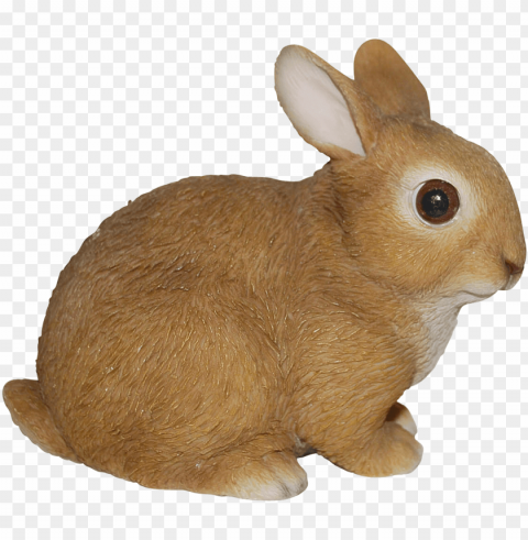 baby rabbits in real life mart easter bunny nail - rabbit real life Isolated Character on Transparent PNG