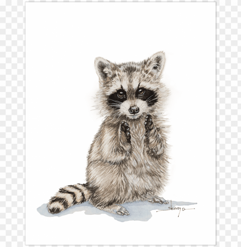 baby raccoon wall art - baby raccoon sketch PNG Image with Transparent Background Isolation
