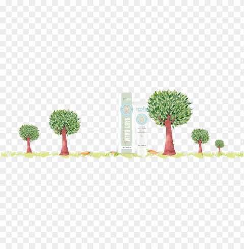 baby - tree CleanCut Background Isolated PNG Graphic