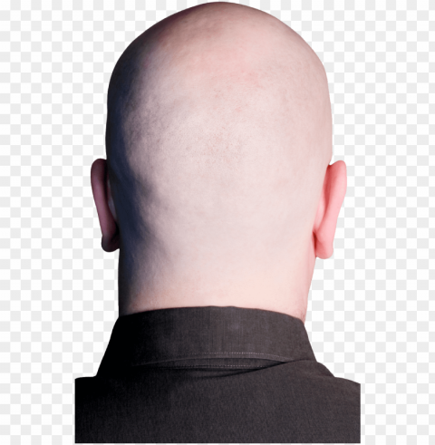 Back Of Head - Back Of Bald Head Isolated Object With Transparent Background In PNG