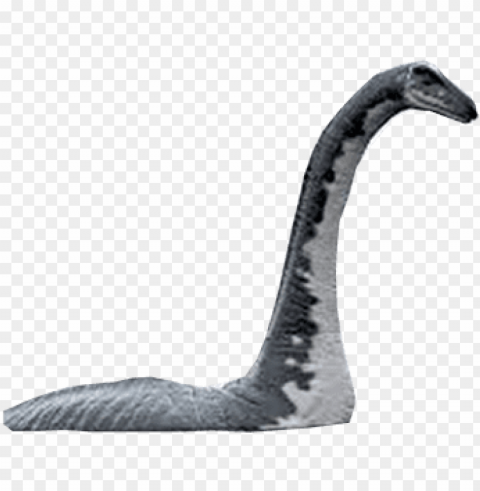  lochness monster - lake tahoe loch ness monster PNG pictures with no background