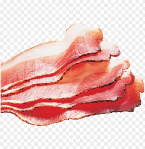 bacon food PNG Graphic Isolated on Clear Backdrop