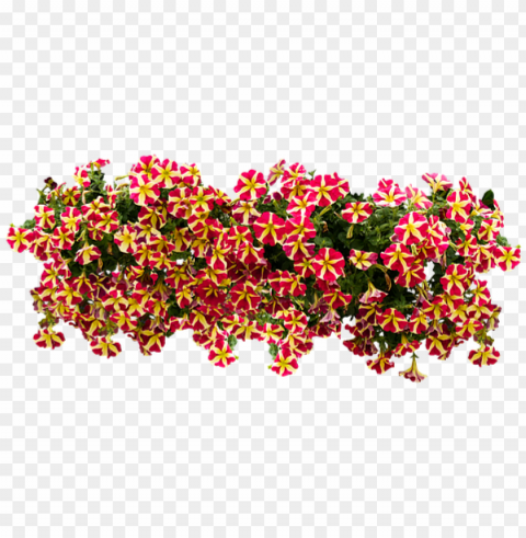 Balcony Flowers Transparent PNG Images Free Download