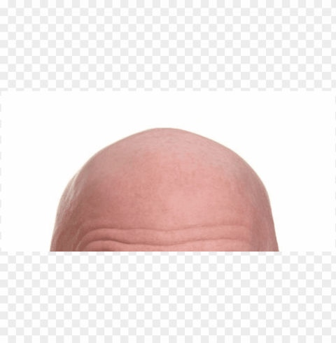 bald PNG download free PNG transparent with Clear Background ID 73b74f9e