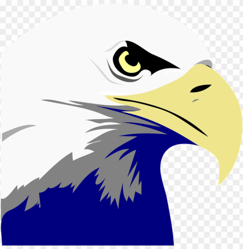 bald eagle art Transparent Background Isolated PNG Item