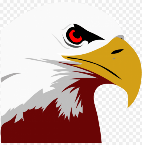 bald eagle black and white Transparent Background PNG Isolated Art