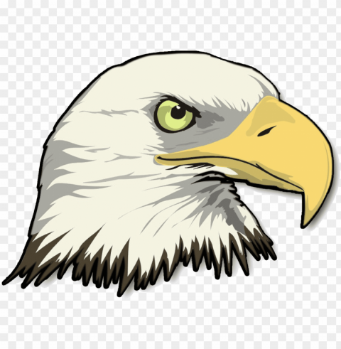 Bald Eagle Head Transparent Background PNG Images Complete Pack