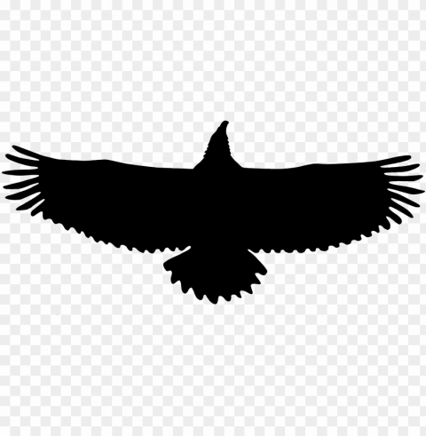 bald eagle - silhouette eagle Isolated Subject on HighQuality Transparent PNG