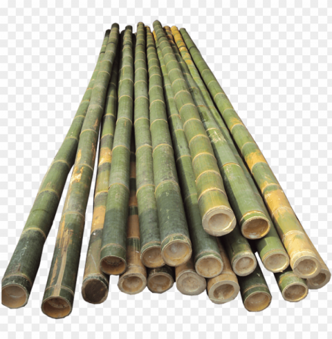 bamboo half cut - bamboo pole vault poles PNG transparent graphics comprehensive assortment