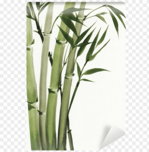 bamboo painting watercolor Transparent PNG images with high resolution