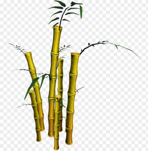 bamboo download image with background - bamboo Transparent picture PNG