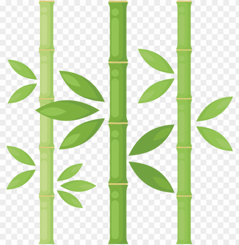 bamboo library download - bamboo tree Transparent PNG Isolated Graphic Detail