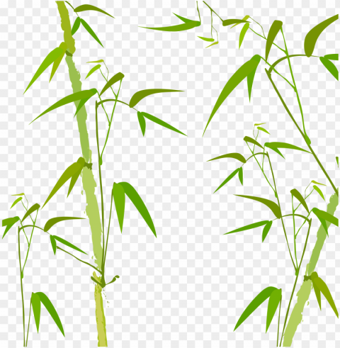 bamboo vector freeuse - green bamboo PNG Isolated Illustration with Clear Background