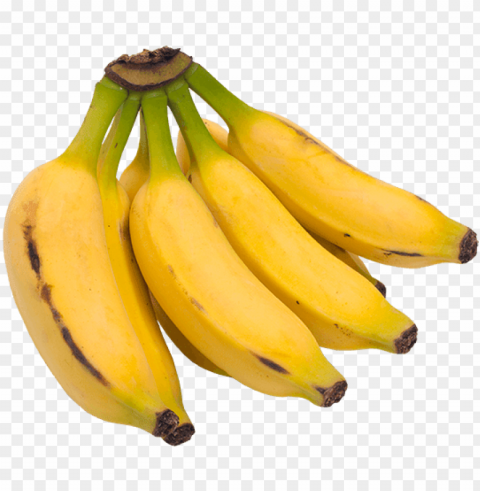 banana download - banana prata HighResolution PNG Isolated Illustration
