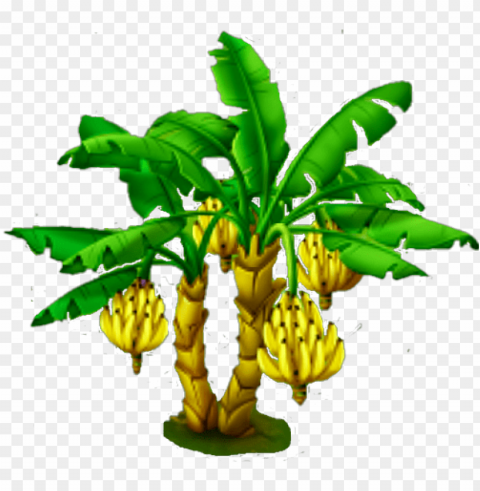 banana tree - name of plant and their parts that we eat PNG Image with Clear Background Isolation