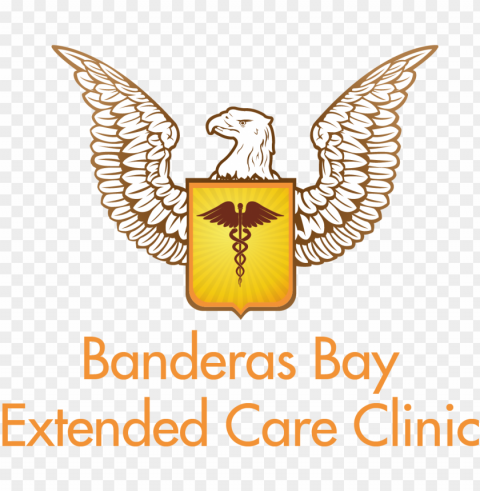 banderas bay extended care clinic -sayulita nayarit - united states eagle vector Transparent image