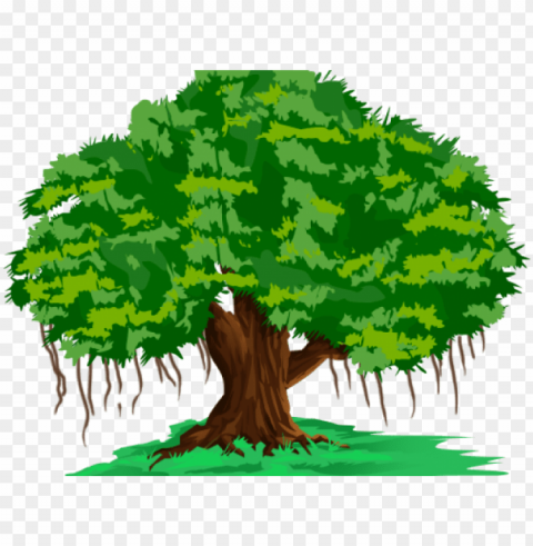banyan tree clipart hindi - banyan tree in cartoo HighResolution PNG Isolated on Transparent Background