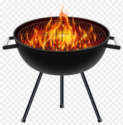 Barbecue Food Transparent PNG Isolated Illustration With Clarity