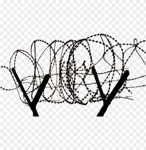 barbed wire barbed tape concertina wire - razor wire transparent PNG for social media