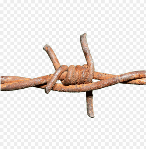 barbed wire rusted knot Isolated Object with Transparent Background PNG
