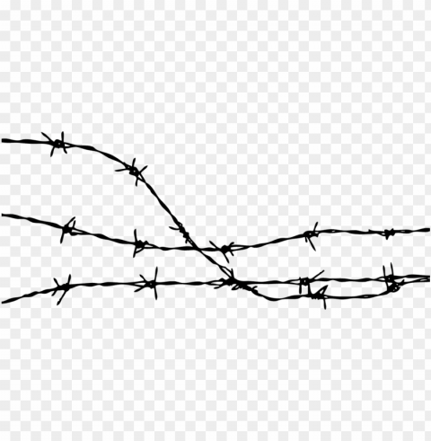 barbed wire Isolated Character with Transparent Background PNG