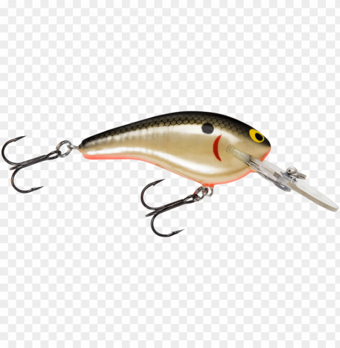 bass fish clipart best - bass fishing lures transparent PNG Graphic Isolated with Transparency