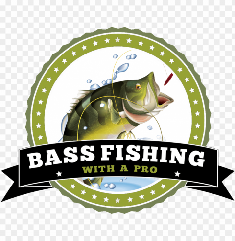 bass fishi PNG transparent photos comprehensive compilation