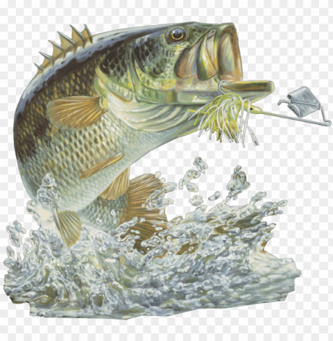 bass fishing club High-quality transparent PNG images