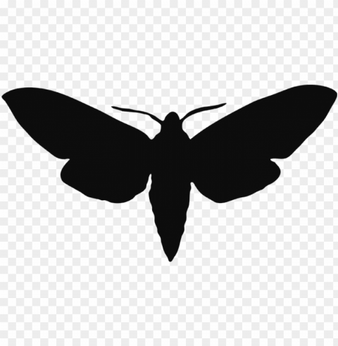 bass transparent moth banner transparent - moth silhouette High Resolution PNG Isolated Illustration