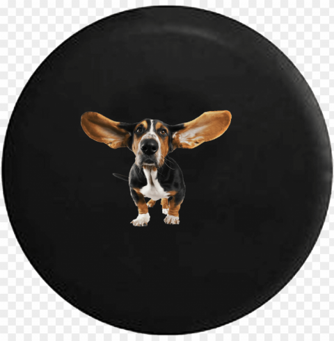 basset hound dog ears blowing in the wind - little book of dogs Transparent PNG Isolated Graphic Element