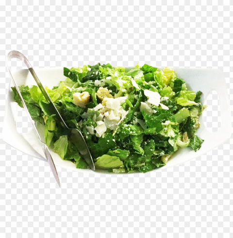 bcaesar saladbr$4 - 89 PNG transparent photos comprehensive compilation