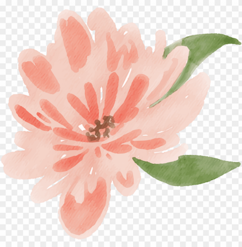 be sure to subscribe - watercolor peach floral PNG file with alpha