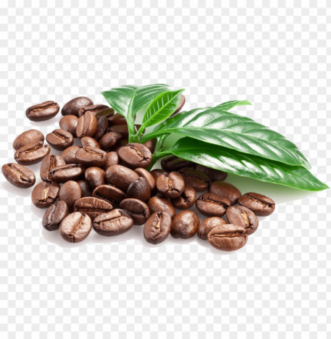 beans transparent images pluspng - coffee bean leaf PNG Isolated Object with Clarity
