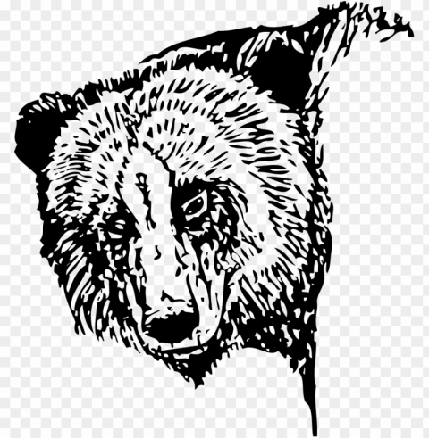 bear head clipart for web Transparent PNG graphics complete archive PNG transparent with Clear Background ID 92c2fdaf