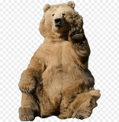 bear waving transparent background PNG graphics with transparency