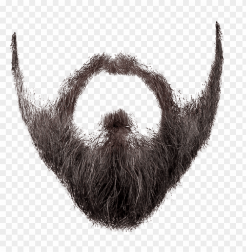 beard styles HighQuality PNG Isolated Illustration
