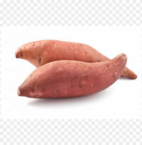 beauregard sweet potato 0 - usia kehamilan 18 minggu Isolated Artwork in Transparent PNG Format PNG transparent with Clear Background ID 1c668c76