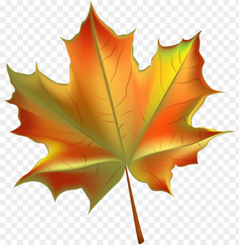 beautiful autumn leaf transparent clip image - autumn leaf clipart Clean Background PNG Isolated Art