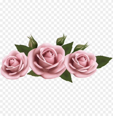 beautiful clipart pink rose - pink roses transparent PNG with no background required